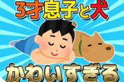 【2ch有益スレ】3万円くらいで生活の質を上げる物教えて【ゆっくり解説】