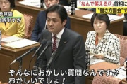 【画像】安倍さんが総理大臣だった頃の勇姿を見て感傷に浸ろうよ