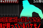 【2ch怖いスレ】隣の部屋に引っ越してきた家族が飼っているバケモノ「ウンギャアアアアアア」【ゆっくり解説】