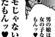 男の娘好きはホモじゃない←これwwwwwwwwwwwwwwwww