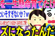 【2ch面白いスレ】兄として妹を必死に育ててきたはずだった【ゆっくり解説】
