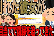 別れた彼女が金目当てで復縁を迫ってきた…【2ch面白いスレ】