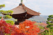 【画像】京都の紅葉、いくらなんでも美しすぎるｗｗｗｗ