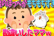 【2ch面白いスレ】1歳児のほっぺがもちもちすぎて勘違いしたママｗ【ゆっくり解説】