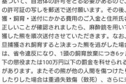 【朗報】熊を殺すな！抗議への正解の対応、見つかる 12000良いね！