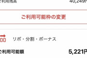 【訃報】リボ払い繰り返した結果ｗｗｗｗｗｗ