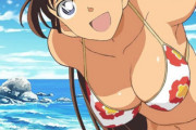 【画像】コナンの蘭姉ちゃん、爆乳だったｗｗｗｗｗ