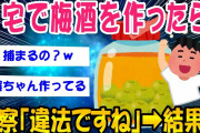 【2ch面白いスレ】自宅で梅酒を作ったら➡結果ww【ゆっくり解説】