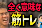 武井壮「本当いちいちうるせえ」SNSでの攻撃的なリプ、憶測投稿に苦言「芸能人はあなた方のサンドバッグでもなんでもない」