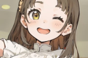 2次元というかアニメの女の子に萌えとか全く意味分からん