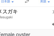 メスガキ「ざぁこ、きっも、ハ…」 ワイ「あっッッ？！？！」