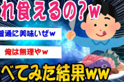 【2ch面白いスレ】食えそうにないものを食ってみた結果ww【ゆっくり解説】