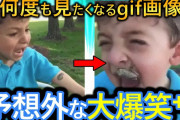 【2ch面白いgif】この爆笑面白動画で笑ったら寝ろwww