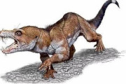 【画像】これが２３０万年前のリスだ！ｗｗｗｗ
