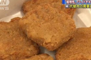 植物性のフライドチキン　米で食肉工場の閉鎖相次ぎ(20/07/21)