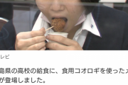 【悲報】日本の給食、遂にコオロギになるｗｗｗｗｗｗｗ