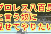 もしかしてプロレスって八百長なのでは？と疑ったシーンwwwwww