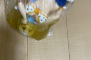【画像】フィギュアを自分のおしっこに浸すの興奮するｗｗｗｗｗｗｗ