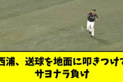 西浦、送球を地面に叩きつけてサヨナラ負け【2chスレ】