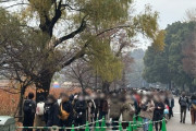【画像】上野動物園のパンダ待ち行列、地獄ｗｗｗｗｗｗｗ