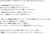 【悲報】人気YouTuberさん、祖父が死んだと嘘動画公開→炎上