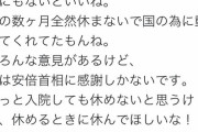 【画像】ダレノガレ明美さん、安倍総理を貶したパヨクにキンチョールを撒いてしまう