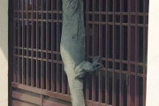 マレーシア人「うわああぁぁぁコモドドラゴンが民家の門を練り登ってる！！！」