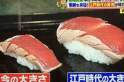 【画像】江戸時代の寿司やばすぎるｗｗｗｗｗｗｗｗｗｗ