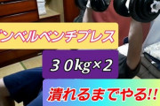 【悲報】ワイ筋トレ民、ダンベルベンチプレス30kgの壁を超えられず咽び泣く