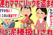【2ch修羅場】子連れママに置き引きされて問い詰めたら逆に泥棒扱いされた【ゆっくり解説】