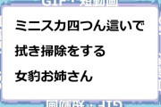 ミニスカ四つん這いで拭き掃除をする女豹お姉さんGIF