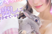 【VR】かまってあげないと寂しくて死んじゃうウサギちゃんを中出しして延命させています 香水じゅん