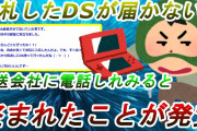 【2ch修羅場】宅配DSを盗んだ泥ママ→パイプ椅子で警察の人に振りかざし【DQN返し】【ゆっくり】