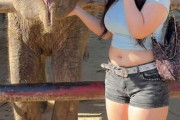 【画像】豊満ギャル「待って、動物園行ったらゾウ🐘より足太かったんだけどw」