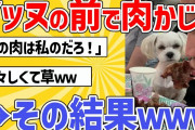 【2ch動物スレ】イッヌに肉を見せつけながら食う→その結果ｗｗｗ