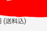 【悲報】ワイ、海外通販で地獄?を見る