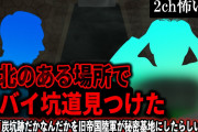 【2ch怖いスレ】東北のある場所でヤバイ坑道見つけた。教授「炭坑跡だかなんだかを旧帝国陸軍が秘密基地にしたらしい」【ゆっくり解説】