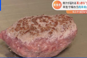 【画像】東京民、懲りずにまた生肉ブームを起こそうとしてしまう