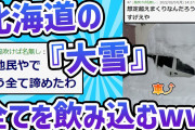 【2ch面白いスレ】北海道の大雪、全てを飲み込むwww