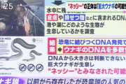 ネッシーの正体が遂に判明！ネス湖調査の結果、巨大ウナギだった！未知の巨大生物のDNA見つからず！写真は捏造！画像あり