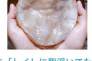 洗面所で発狂「綿棒で毛穴の角栓がドバババッ」９割が知らない裏技を披露