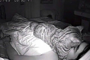 【恐怖】とある飼い猫さん、就寝中の飼い主にとんでもないことしてしまうｗｗｗｗｗｗｗ