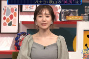 【画像】TBSで田中みな実さんがおっぱいアピール