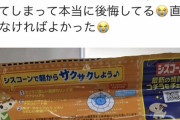 【悲報】まんさん「左利きは育ちが悪いを信じて長男の左利き矯正して本当に後悔！！ｷﾞｬｫｫｫｫｰﾝ」