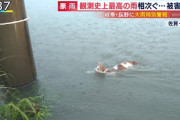 【画像】とくダネ、九州大雨被害の映像が波紋！泳ぐ猫を見殺し!?助けるべき？