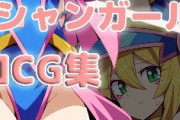 10代ぼく「アニメキャラの女の子とセッッッッ！！！！！」