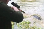 【画像】愛馬をワニに喰われたテキサス婆、銃で武装し報復へ
