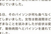 【あっ】ヘビ飼う女性「最近エサを全く食べなくなったんです。何かの病気ですか？」獣医「・・・」