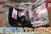 10年前ワイ「アニメさえあれば生きてけるわwwwオタク最高www」