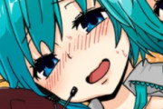 識者「初音ミクの同人は抜けない」　←これ